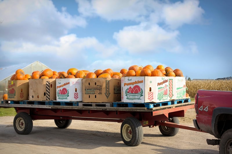 Post-Harvest Storage