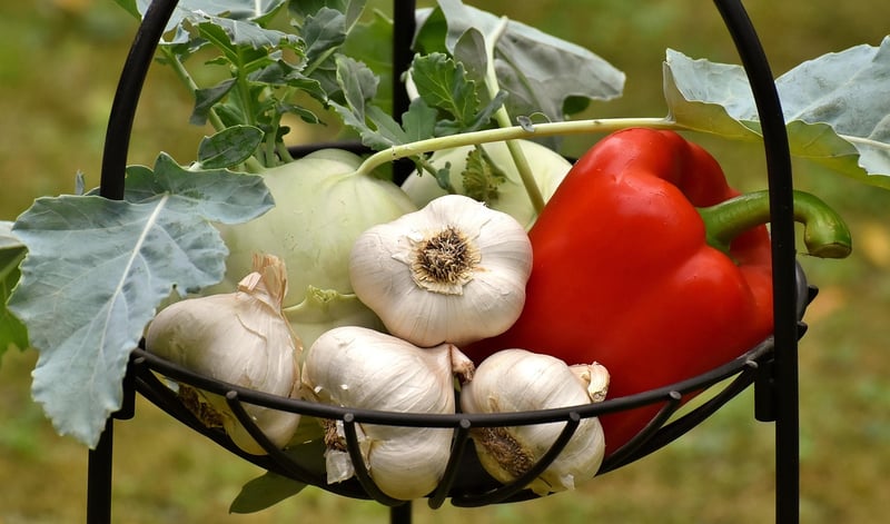Fresh Produce Storage